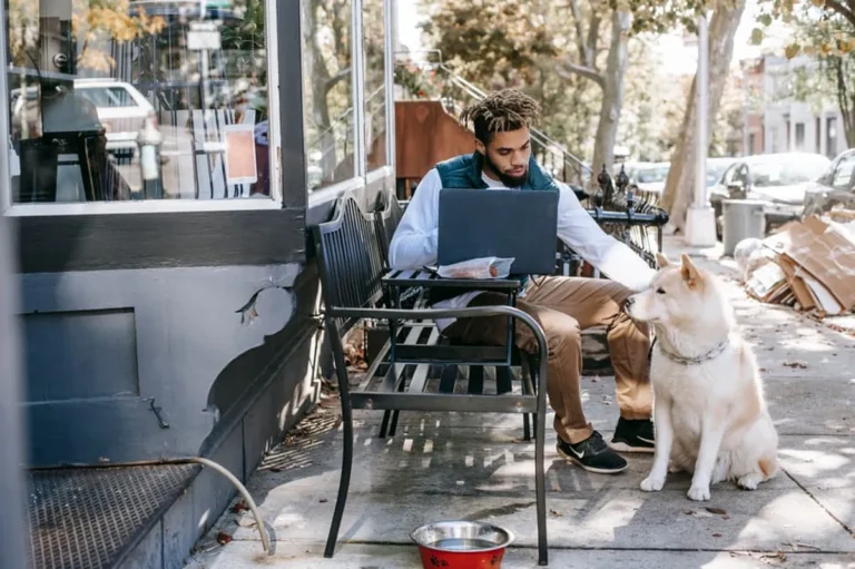 Zendogtech Explained: Lifestyle Search Intent, Trends, and Alternatives